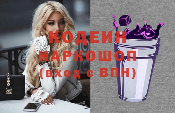 молекула духа Вязьма