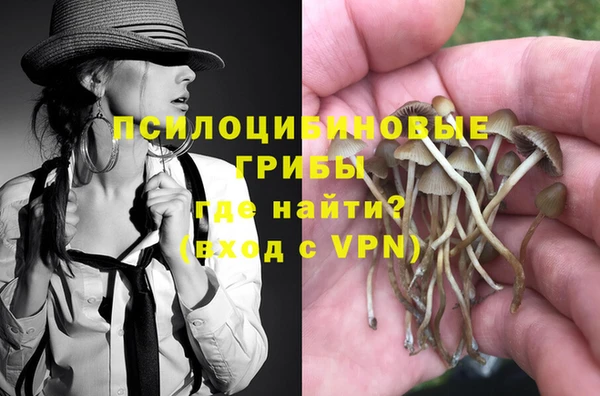 мяу мяу мука Вяземский