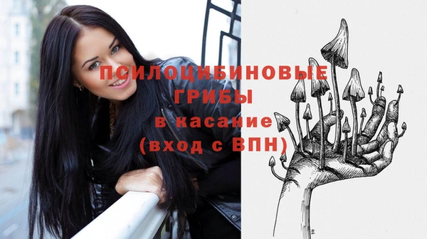 молекула духа Вязьма