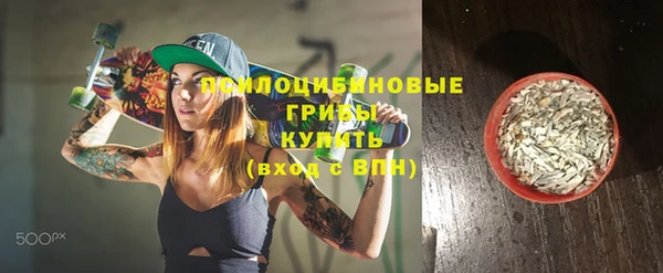 молекула духа Вязьма